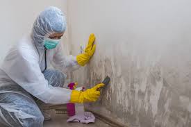 Best Industrial Mold Remediation  in Oronogo, MO